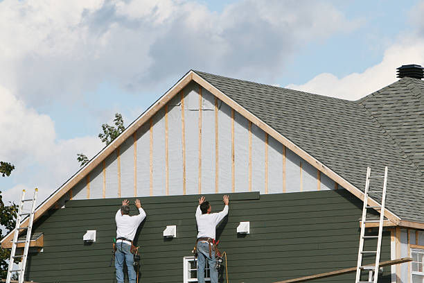 Best Custom Siding Design  in Caldwell, OH